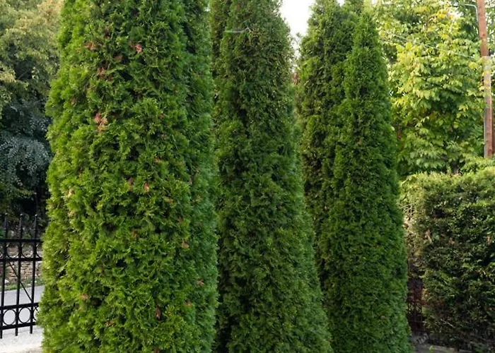 Ira Villa Veria (Imathia)