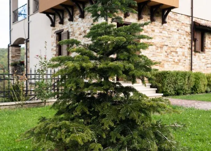 Villa Ira Veria (Imathia)